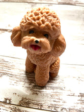 Load image into Gallery viewer, Apricot Poodle - Red Poodle
