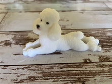 Load image into Gallery viewer, Standard Poodle - White

