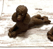 Load image into Gallery viewer, Standard Brown Poodle
