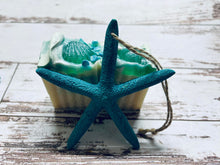 Load image into Gallery viewer, Coconut Seashore with Starfish
