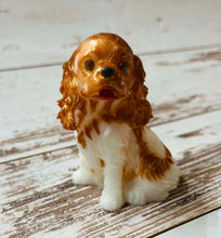 Load image into Gallery viewer, Cavalier King Charles Spaniel
