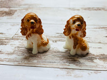 Load image into Gallery viewer, Cavalier King Charles Spaniel
