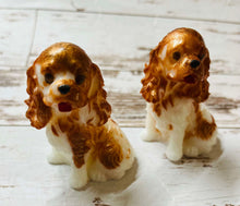 Load image into Gallery viewer, Cavalier King Charles Spaniel
