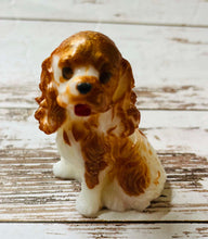 Load image into Gallery viewer, Cavalier King Charles Spaniel
