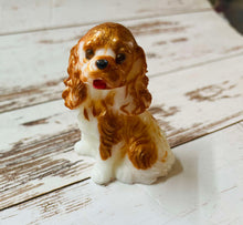 Load image into Gallery viewer, Cavalier King Charles Spaniel
