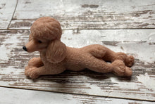 Load image into Gallery viewer, Standard Poodle Soap - Apricot (Red)
