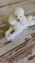 Load and play video in Gallery viewer, Standard Poodle Soap - White
