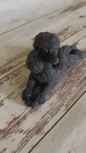 Load and play video in Gallery viewer, Standard Black Poodle Soap
