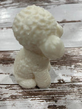 Load image into Gallery viewer, Poodle - Bichon
